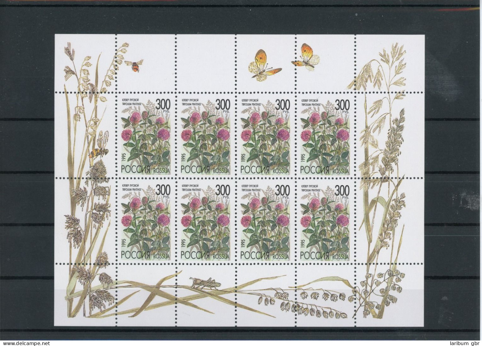 Russland Klb. 437 Postfrisch Blumen #JT938 - Autres & Non Classés