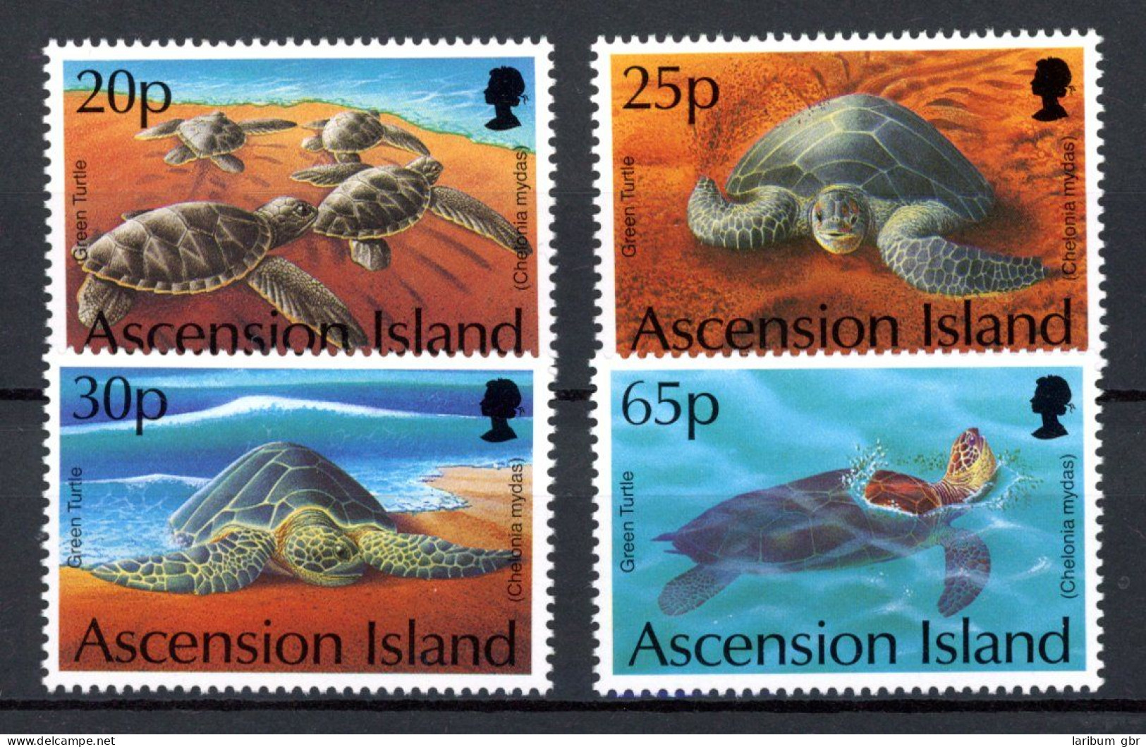 Ascension 633-36 Postfrisch Schildkröten #HE867 - Ascension