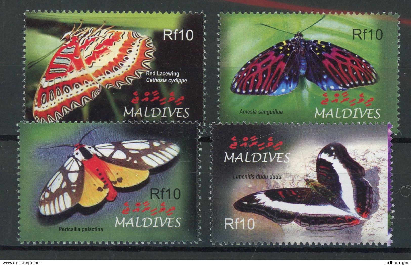 Malediven Einzelmarken 4416-4419 Postfrisch Schmetterling #HF403 - Maldiven (1965-...)