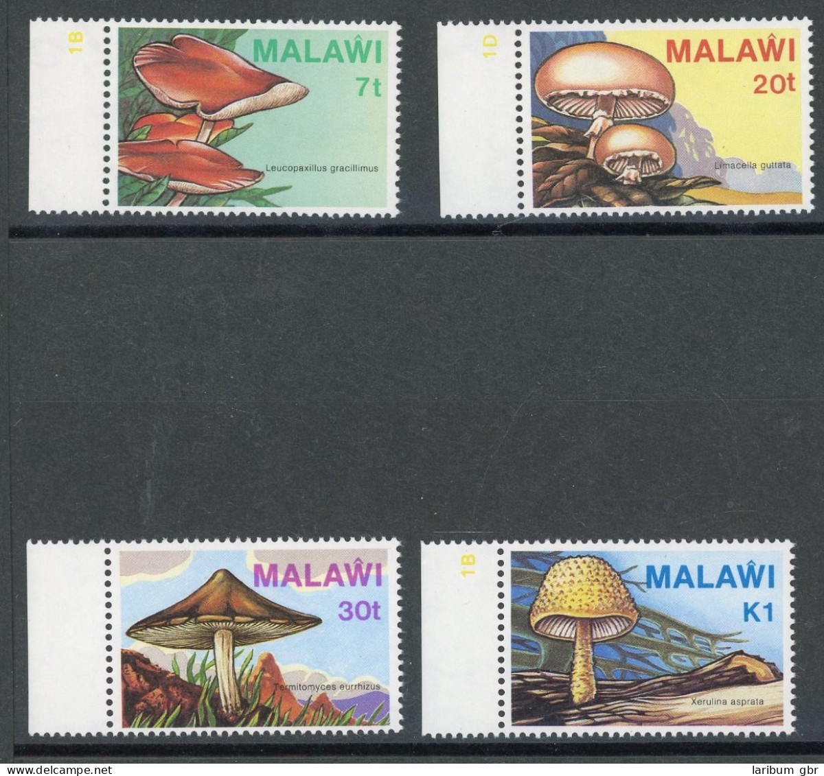 Malawi 441-444 Postfrisch Pilze #HE767 - Malawi (1964-...)
