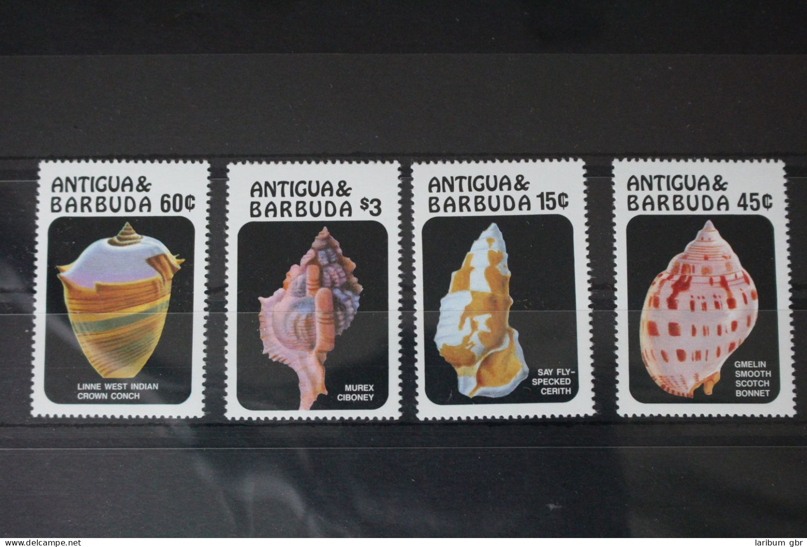 Antigua Und Barbuda 953 Postfrisch Meeresschnecken #WC966 - Antigua And Barbuda (1981-...)