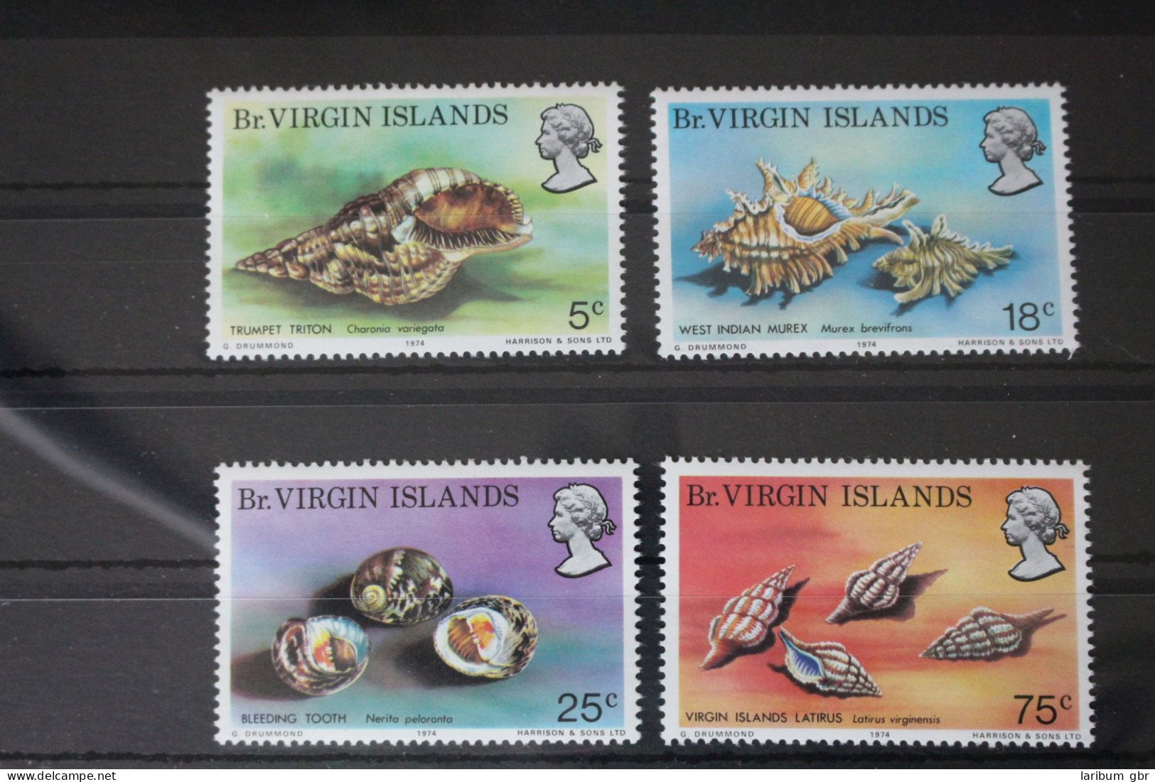 Jungferninseln 274-277 Postfrisch Schnecken #WC969 - Iles Vièrges Britanniques