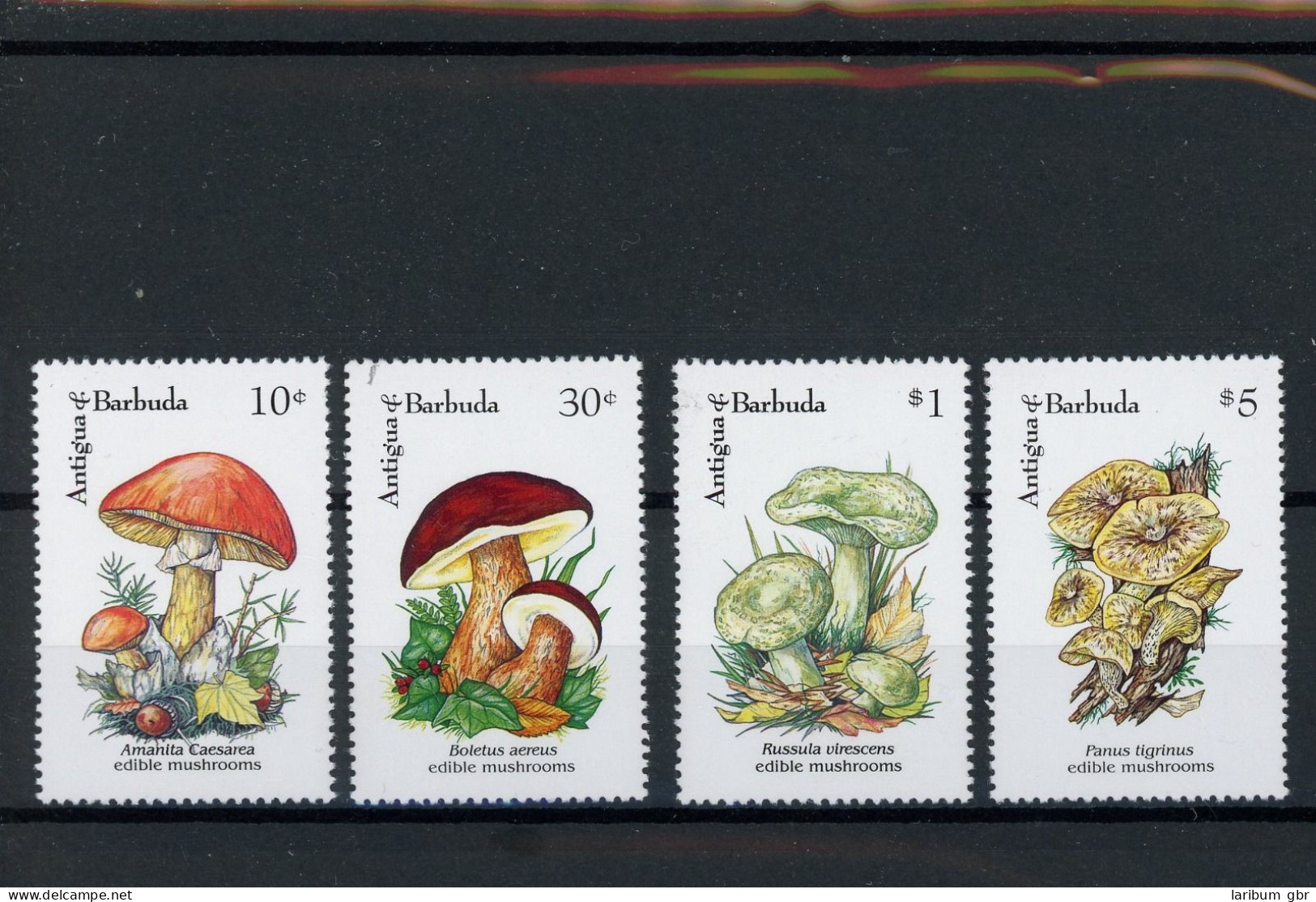 Antigua Barbuda 1637, 39, 41, 44 Postfrisch Pilze #JO672 - Antigua And Barbuda (1981-...)