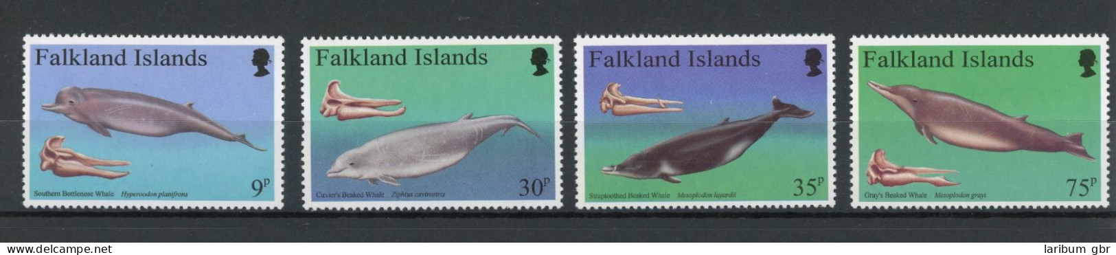 Falkland Inseln 678-81 Postfrisch Fische #IN017 - Falkland