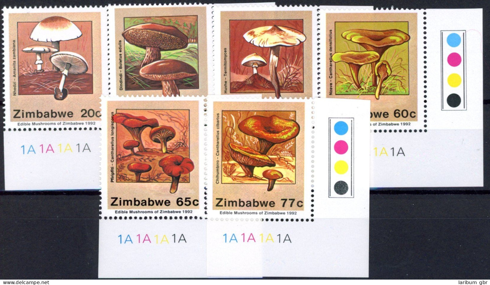 Simbabwe 476-481 Postfrisch Pilze #JR657 - Zimbabwe (1980-...)