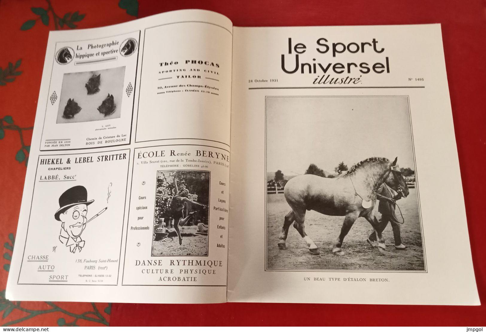 Sport Universel Illustré N°1495 Oct 1931 Etalons Bretons Landerneau Chasse Golden Retriever Hippisme Pardubice Stresa - 1900 - 1949