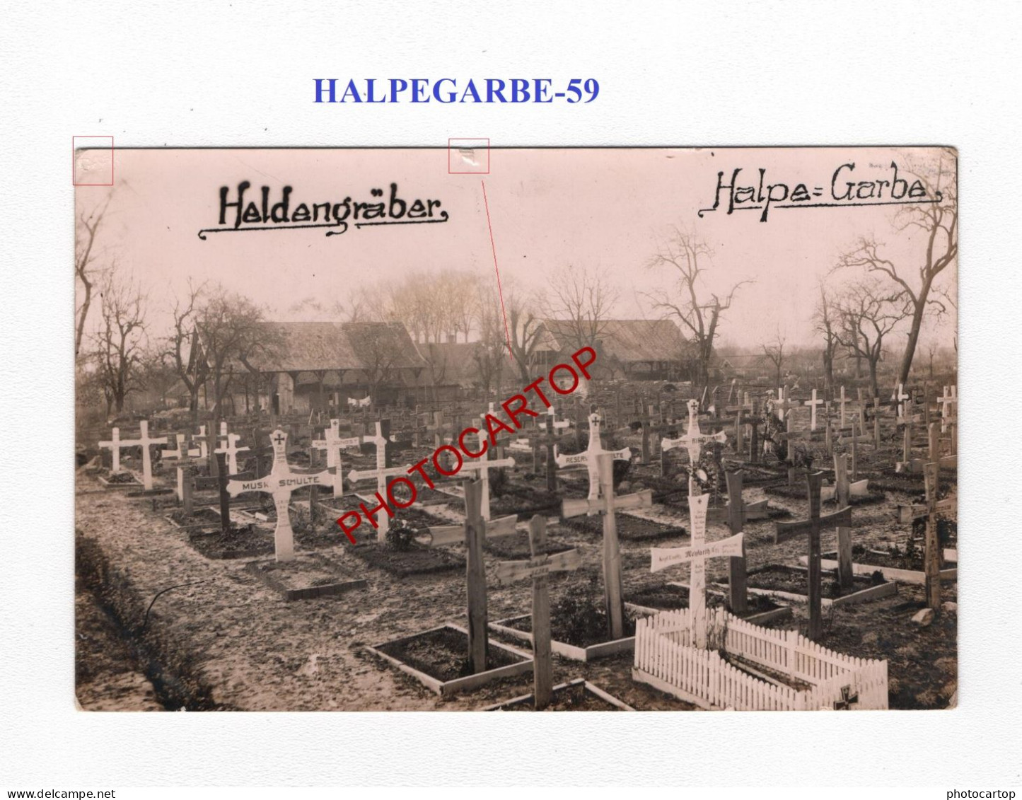 HALPEGARBE-59-Tombes-Cimetiere-CARTE PHOTO Allemande-GUERRE 14-18-1 WK-MILITARIA-FELDPOST- - Oorlogsbegraafplaatsen