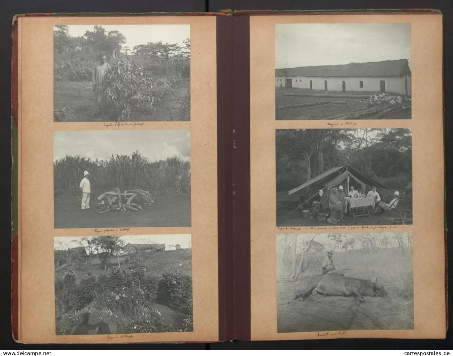 Fotoalbum Mit 280 Fotografien, DSWA Schutztruppe, Afrika, Oblt. Von Grawert, Hauptmann Von Fiedler, Zanzibar, Durban  - Albums & Verzamelingen