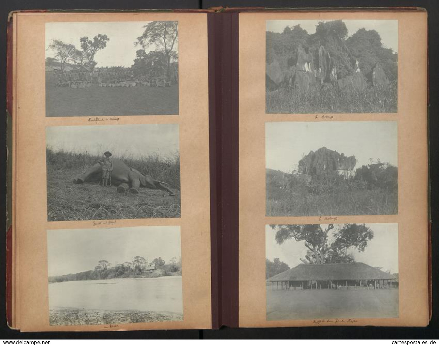 Fotoalbum mit 280 Fotografien, DSWA Schutztruppe, Afrika, Oblt. von Grawert, Hauptmann von Fiedler, Zanzibar, Durban 