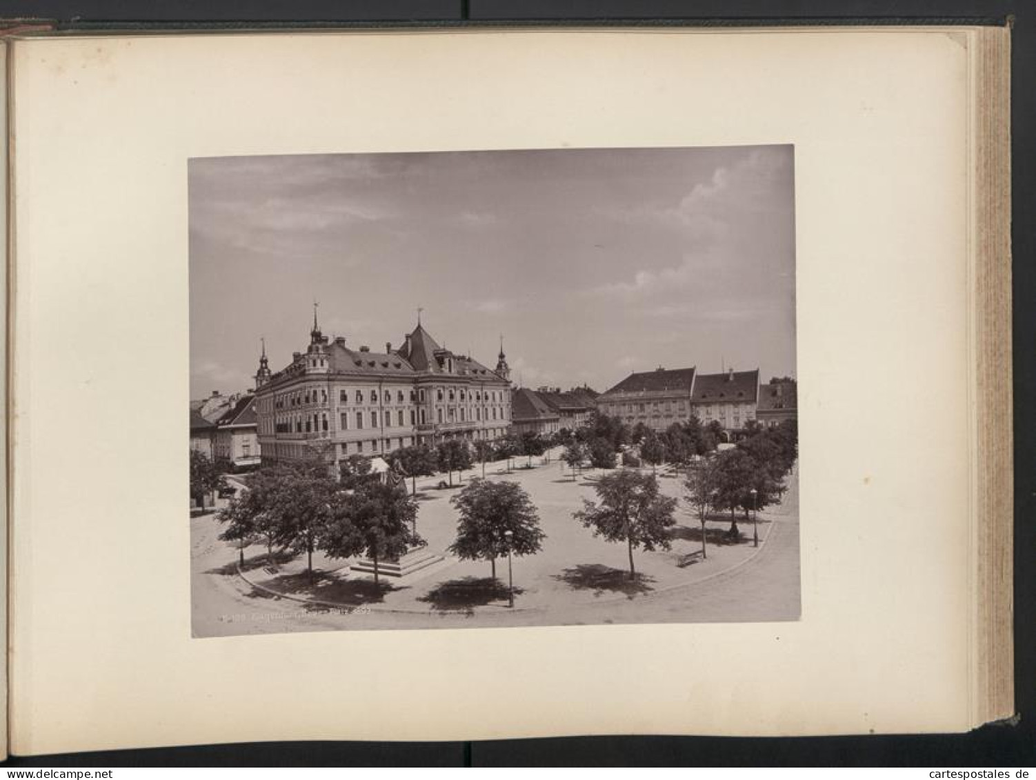 Fotoalbum mit 49 Fotografien, Ansicht Wien, Schönbrunn, Innerer Burgplatz, Rathaus, Stefanskirche, Opernring, Graben 