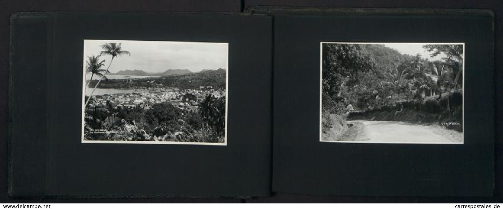 2 Fotoalben Mit 99 Fotografien, Ansicht Panama, Karibikreise, Madeira, Antigua, Jamaica, Grenada, Barbados, Trinidad  - Albums & Collections