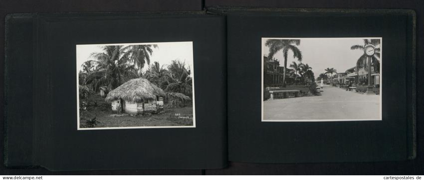 2 Fotoalben mit 99 Fotografien, Ansicht Panama, Karibikreise, Madeira, Antigua, Jamaica, Grenada, Barbados, Trinidad 