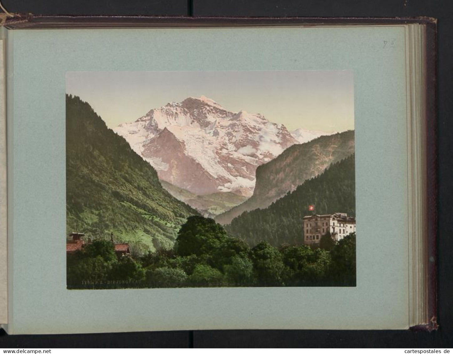 Fotoalbum mit 38 Fotografien, Ansicht Rapallo, Südtirol, Gletscher, Panorama vom Kleinboden, Gardasee 