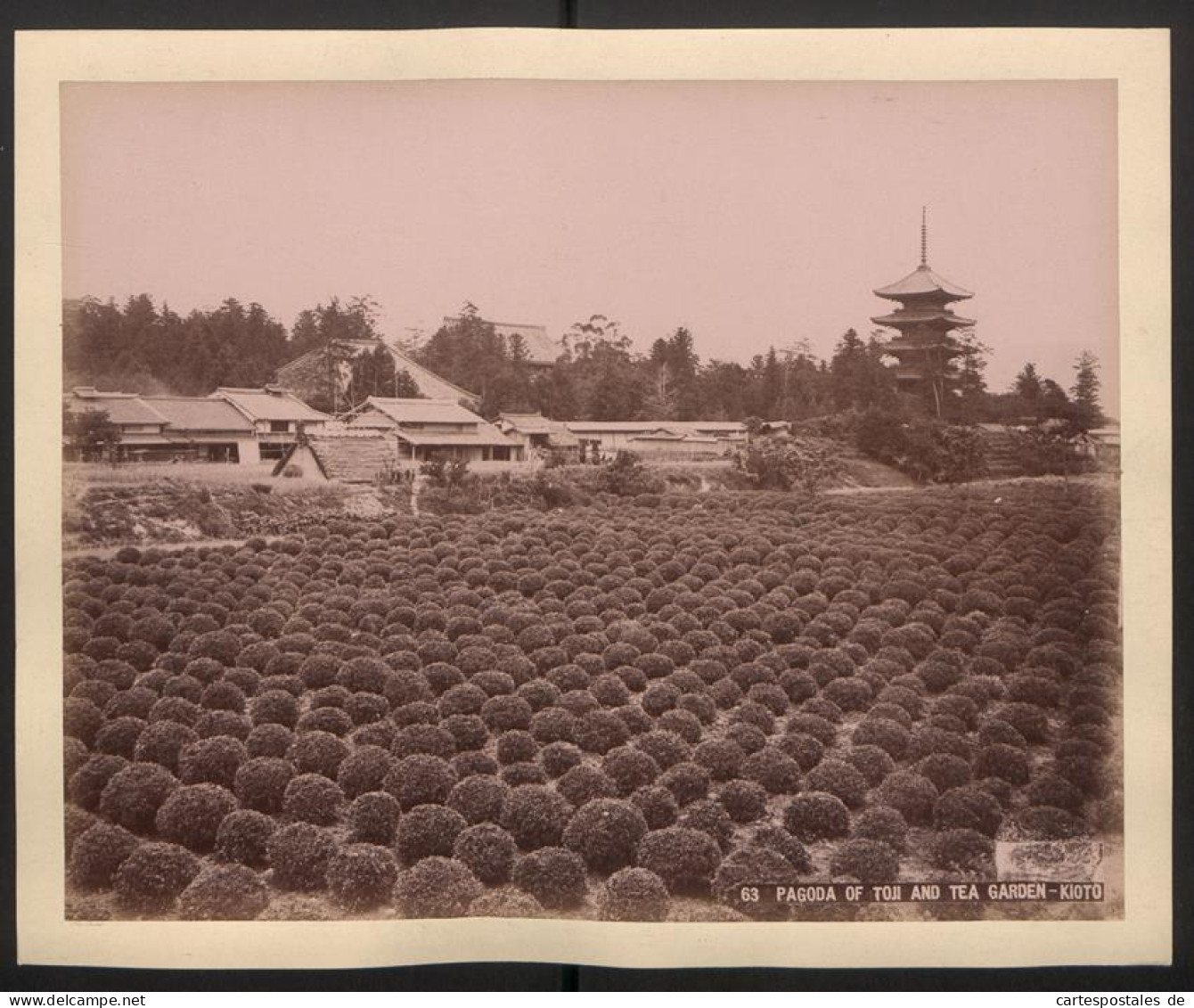 Fotoalbum mit 65 Fotografien, Ansicht Kioto, Tracht, Geisha, Tempel, Daibutsu, Nikko, Kobe, Tokyo 