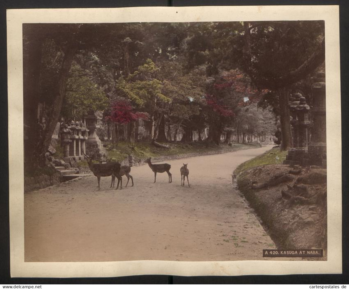 Fotoalbum mit 65 Fotografien, Ansicht Kioto, Tracht, Geisha, Tempel, Daibutsu, Nikko, Kobe, Tokyo 