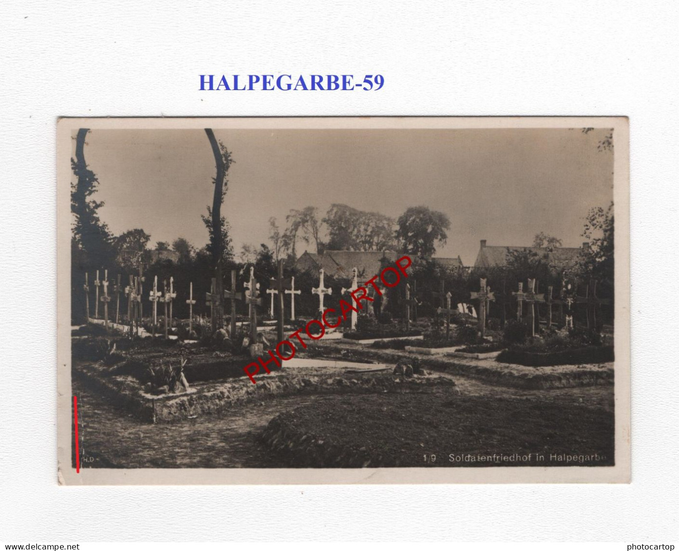 HALPEGARBE-59-Tombes-Cimetiere-CARTE PHOTO Allemande-GUERRE 14-18-1 WK-MILITARIA- - Cimetières Militaires