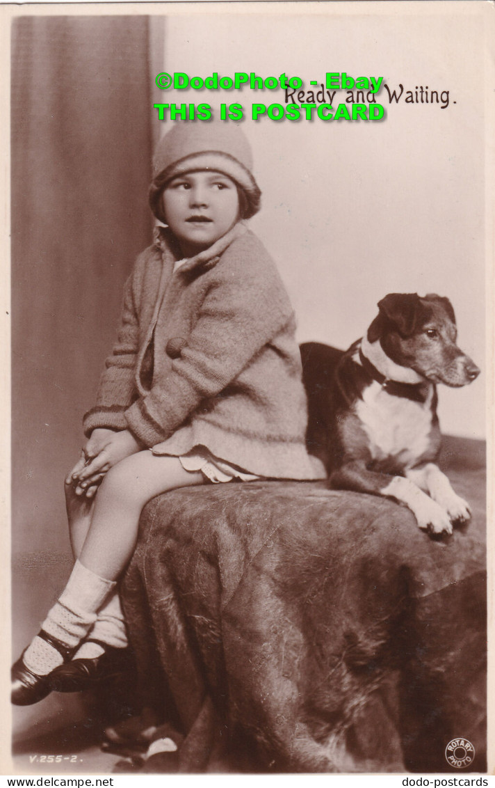 R455647 Ready And Waiting. Girl And Dog. V. 255 2. Rotary Photo. 1930 - Monde