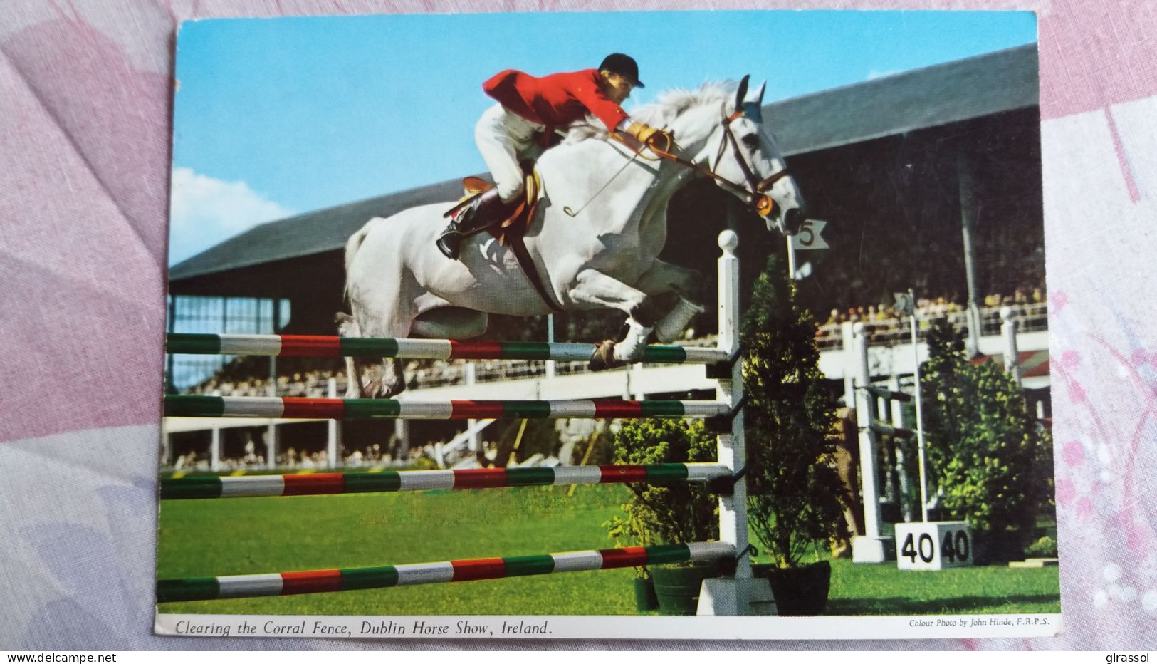 CPSM CHEVAL DE COURSE SAUT D OBSTACLE CLEARING THE CORRAL FENCE DUBLIN HORSE SHOW IRELAND JOHN HINDE - Horses