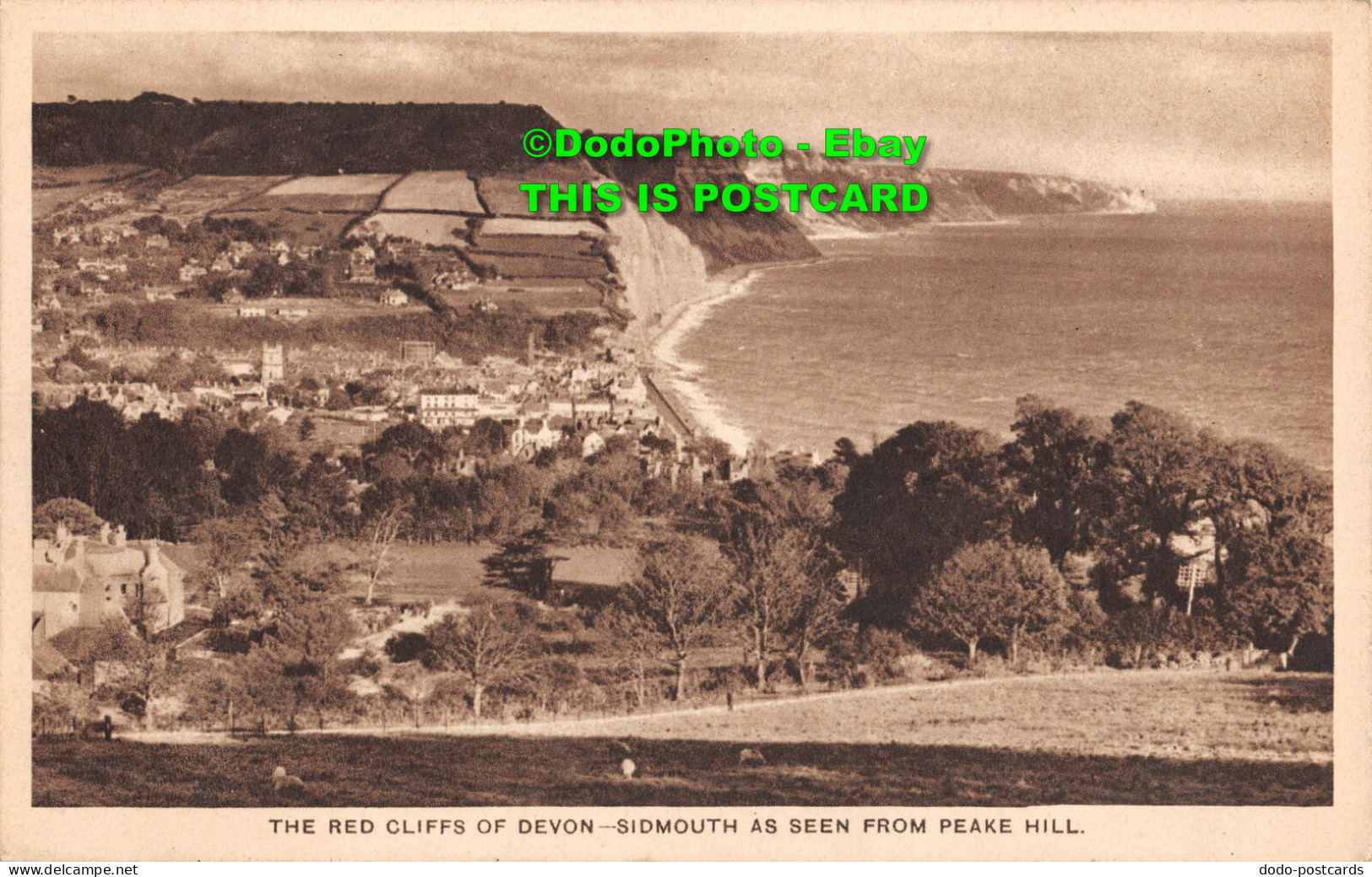R455954 The Red Cliffs On Devon. Sidmouth As Seen From Peake Hill. Famous Seasid - World