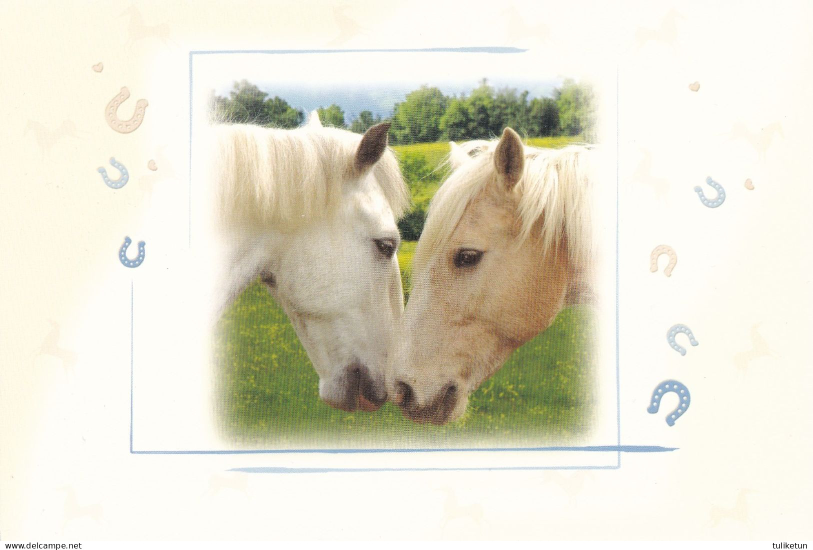 Horse - Cheval - Paard - Pferd - Cavallo - Cavalo - Caballo - Häst - Wine & Roses Cards Ltd - Chevaux
