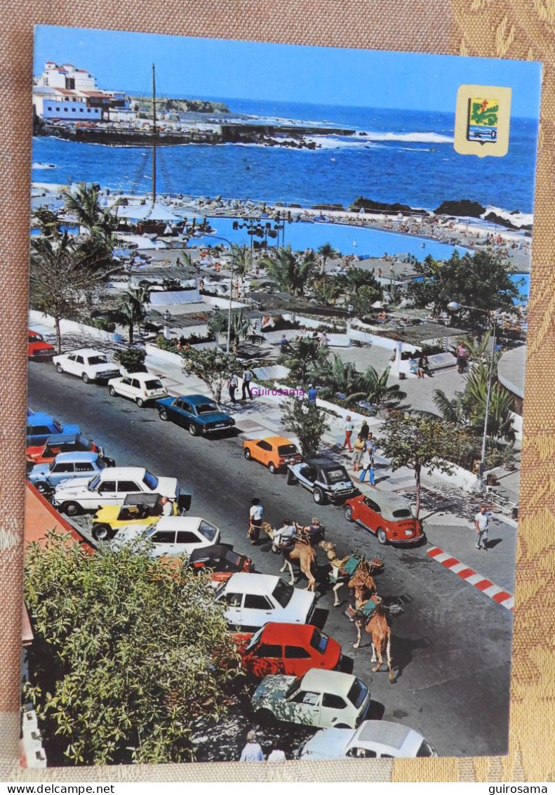 Puerto De La Cruz (Tenerife) : Detalle De La Avenida De Colon Y Piscinas - 1981 - Dromadaires Et Voitures - Tenerife