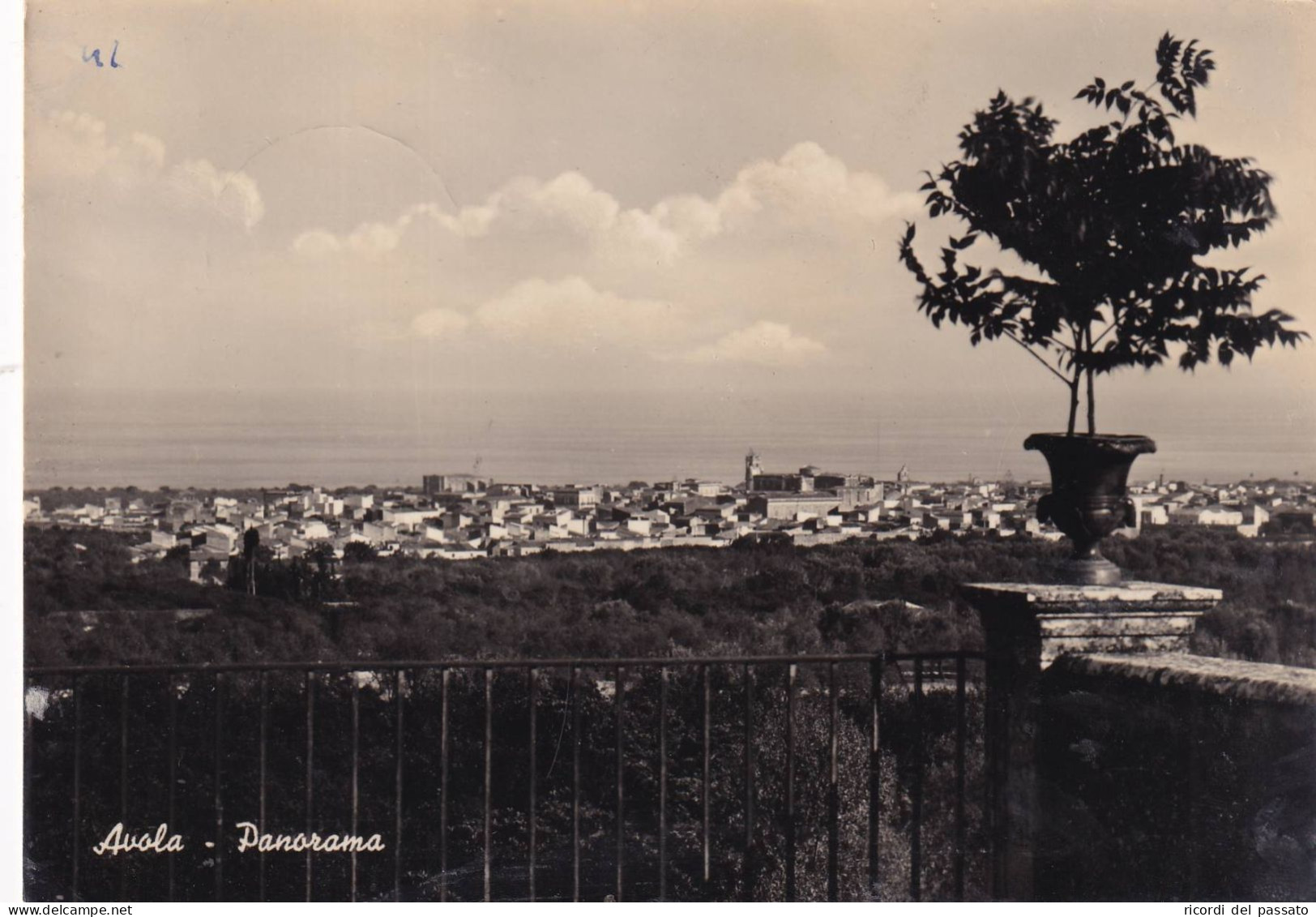 Cartolina Avola ( Siracusa ) Panorama - Siracusa