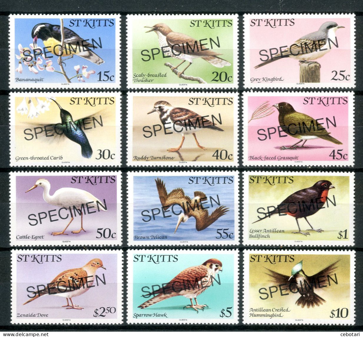 ST. KITTS 1981** - Uccelli / Birds - 12 Val. MNH (Specimen Set MNH). - Other & Unclassified