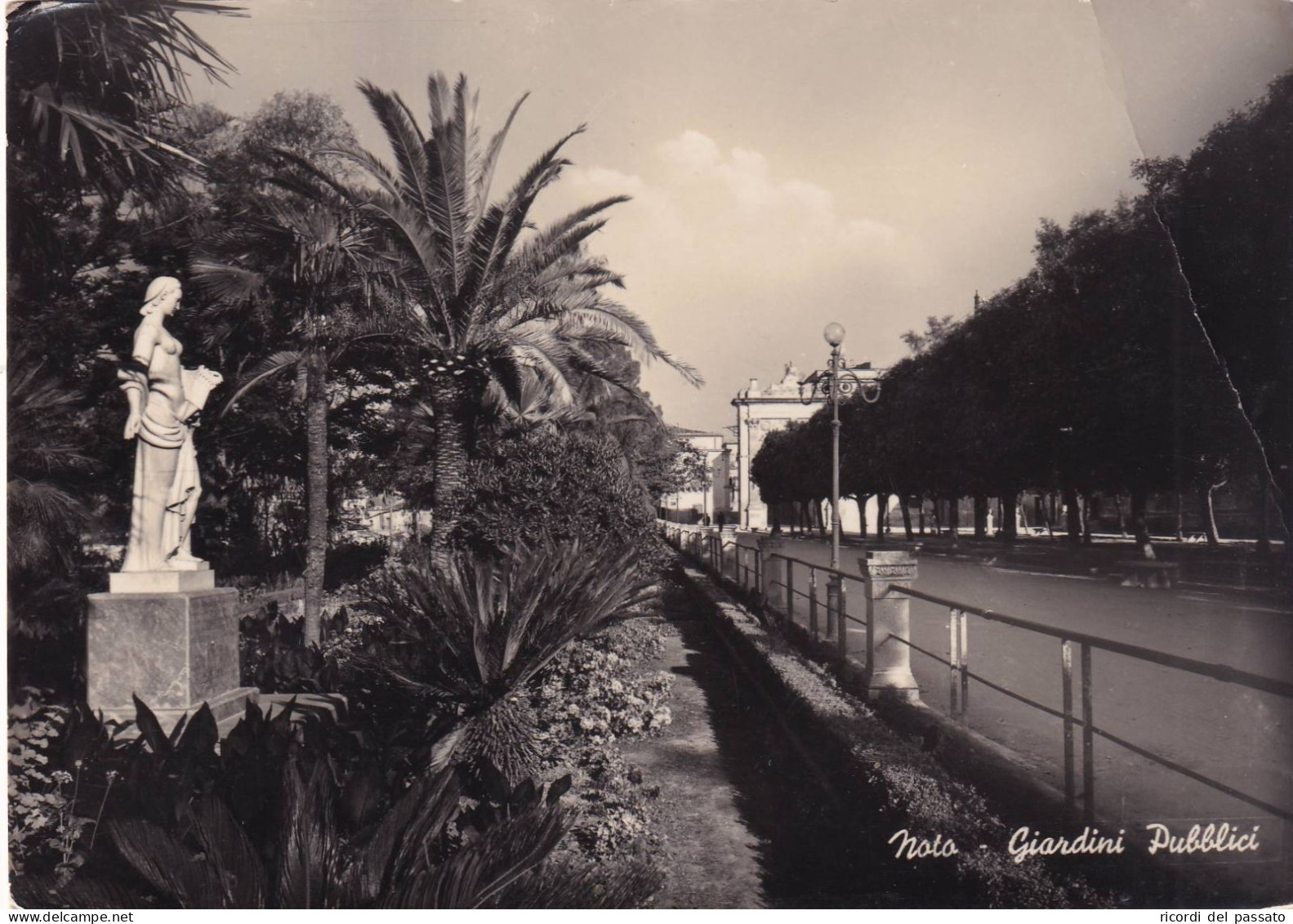 Cartolina Noto ( Siracusa ) Giardini Pubblici - Siracusa