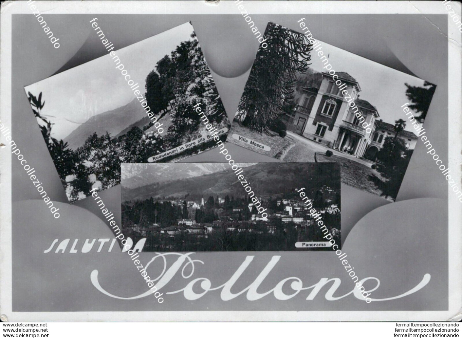 Au332 Cartolina Saluti Da Pollone Provincia Di Biella - Biella
