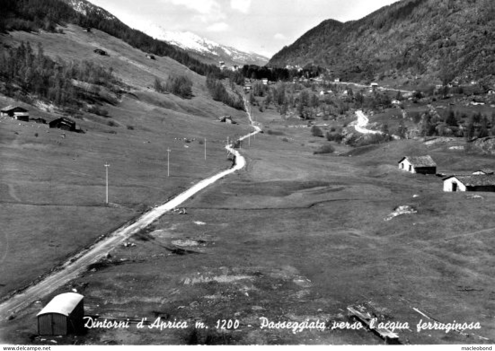 Aprica (Sondrio) - Lotto Di 4 Cartoline Formato Grande Viaggiate Di Vari Soggetti - Sondrio