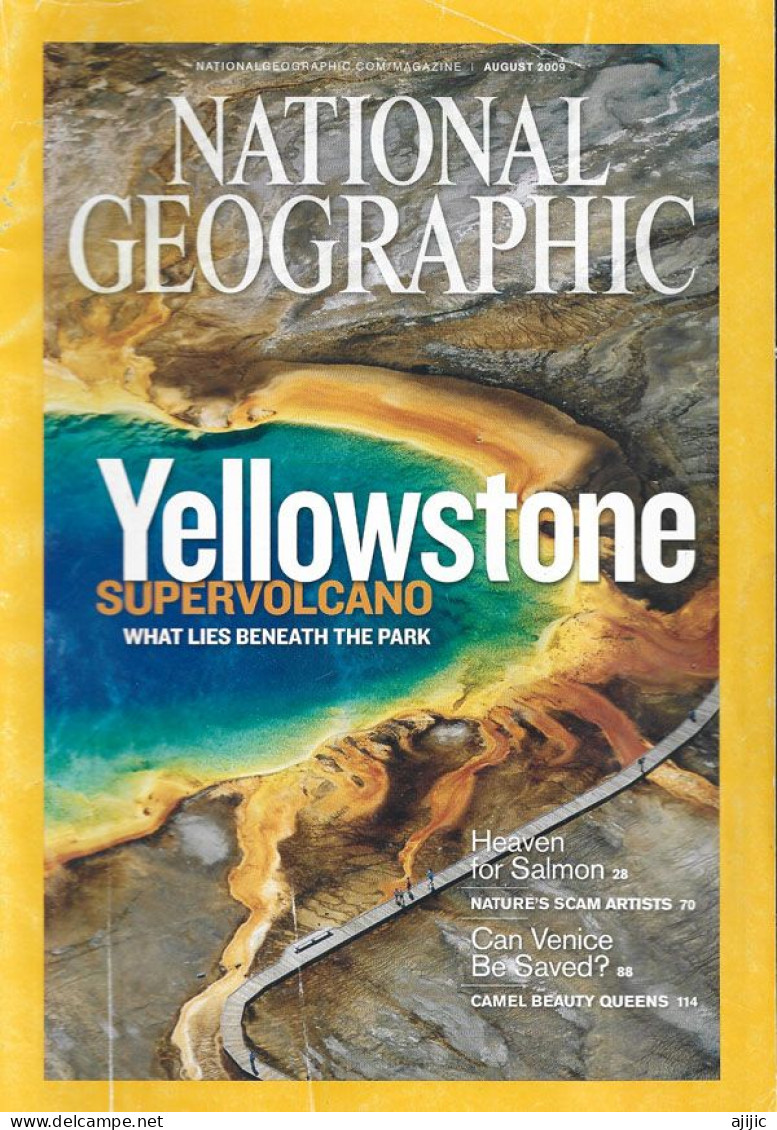 USA.Yellowstone Caldera (Supervolcano)Wyoming.Yellowstone National Park. National Geographic - Volcanos