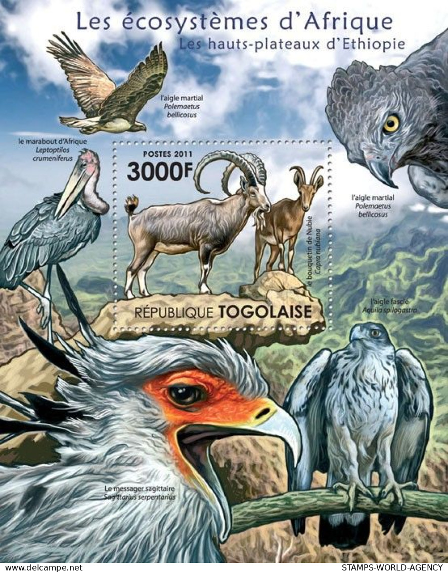 ( 250 06) - 2011- TOGO - FAUNA                 1V  MNH** - Other & Unclassified