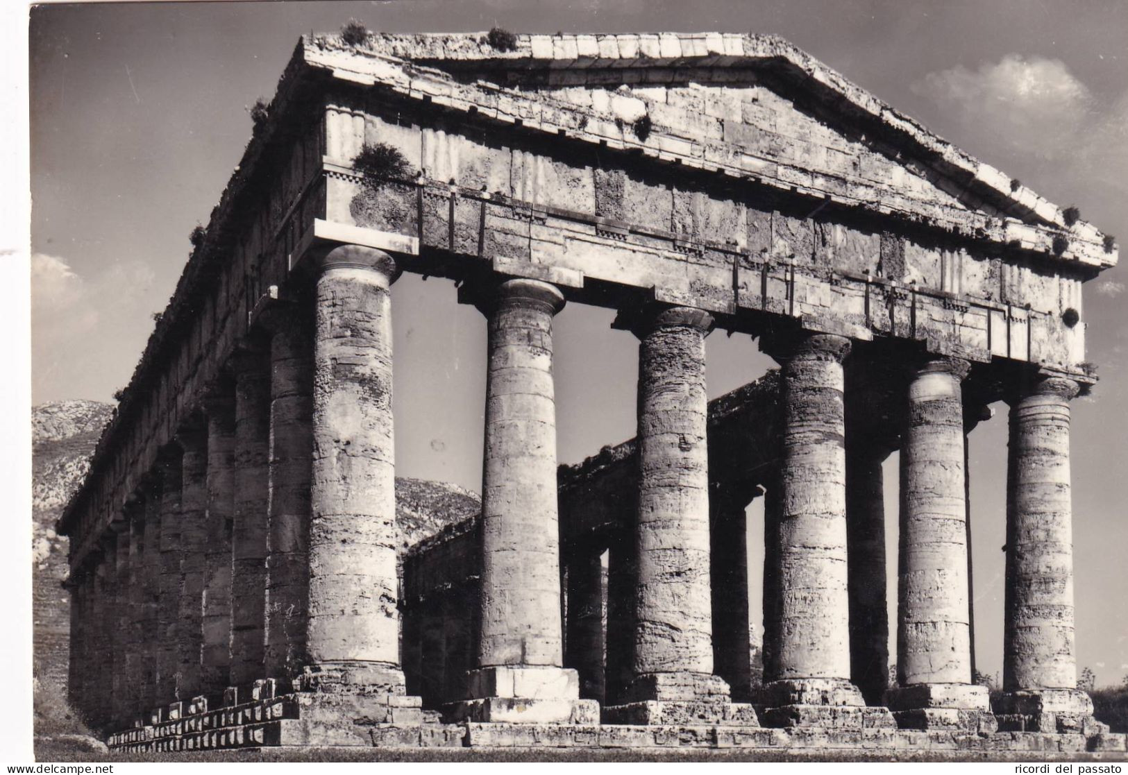 Cartolina Segesta ( Trapani ) Tempio - Trapani