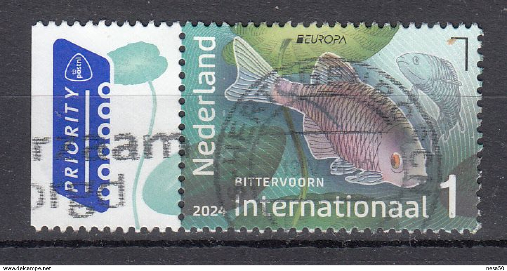 Nederland 2024 Nvph ?? Mi Nr ??, Onderwaternatuur Internationaal, Europa, Voorn + Watergentiaan, Gestempeld - Used Stamps