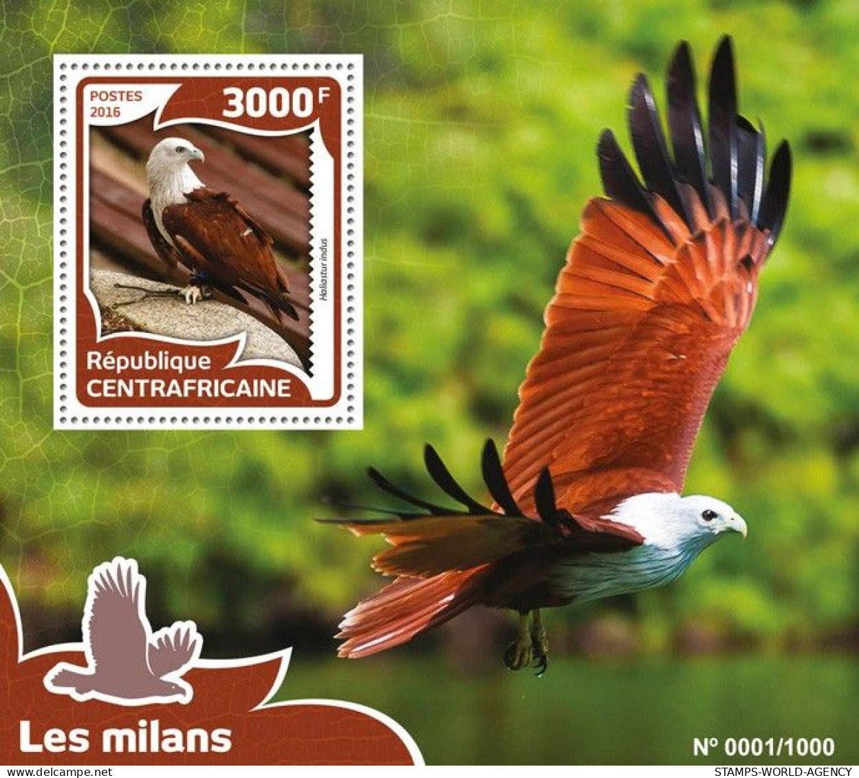 ( 250 10) - 2016- CENTRAL AFRICAN - BIRDS OF PREY                1V  MNH** - Eagles & Birds Of Prey