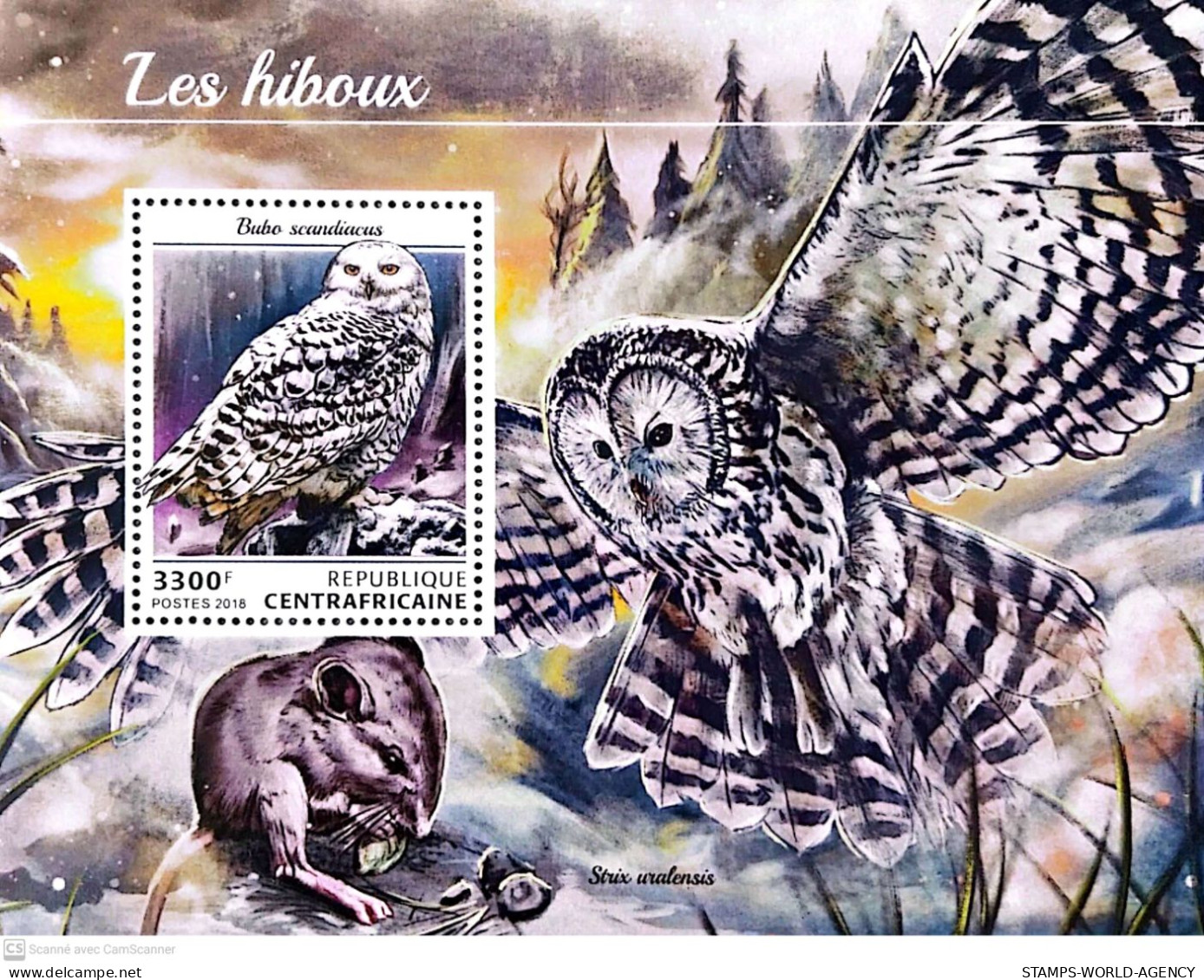 ( 250 16) - 2018- CENTRAL AFRICAN - OWLS                1V  MNH** - Hiboux & Chouettes