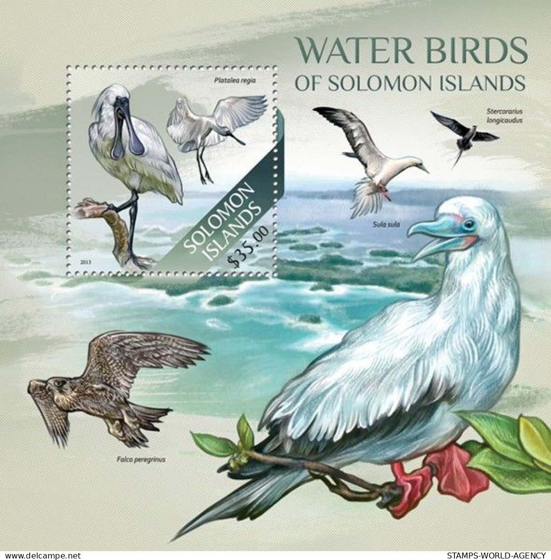 ( 250 17) - 2013- SOLOMONS - WATER BIRDS                1V  MNH** - Cigognes & échassiers