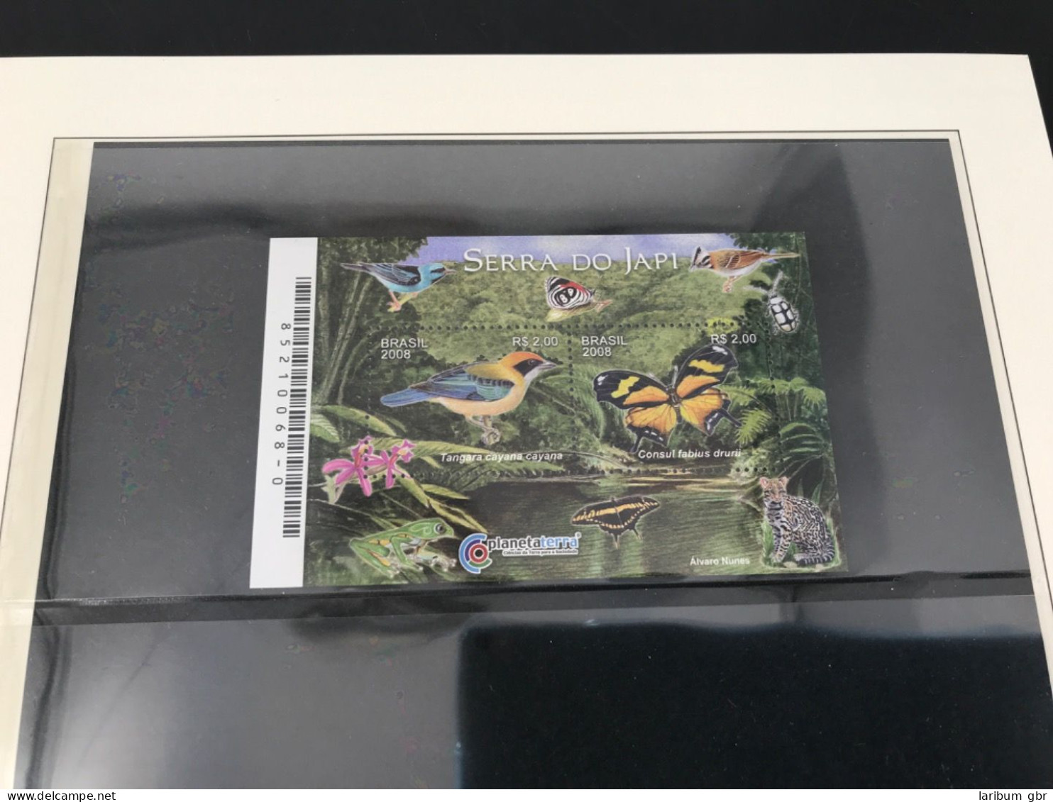 LOT "BRASILIEN" Marken/Blöcke Postfrisch Insekten #JU374 - Sonstige & Ohne Zuordnung