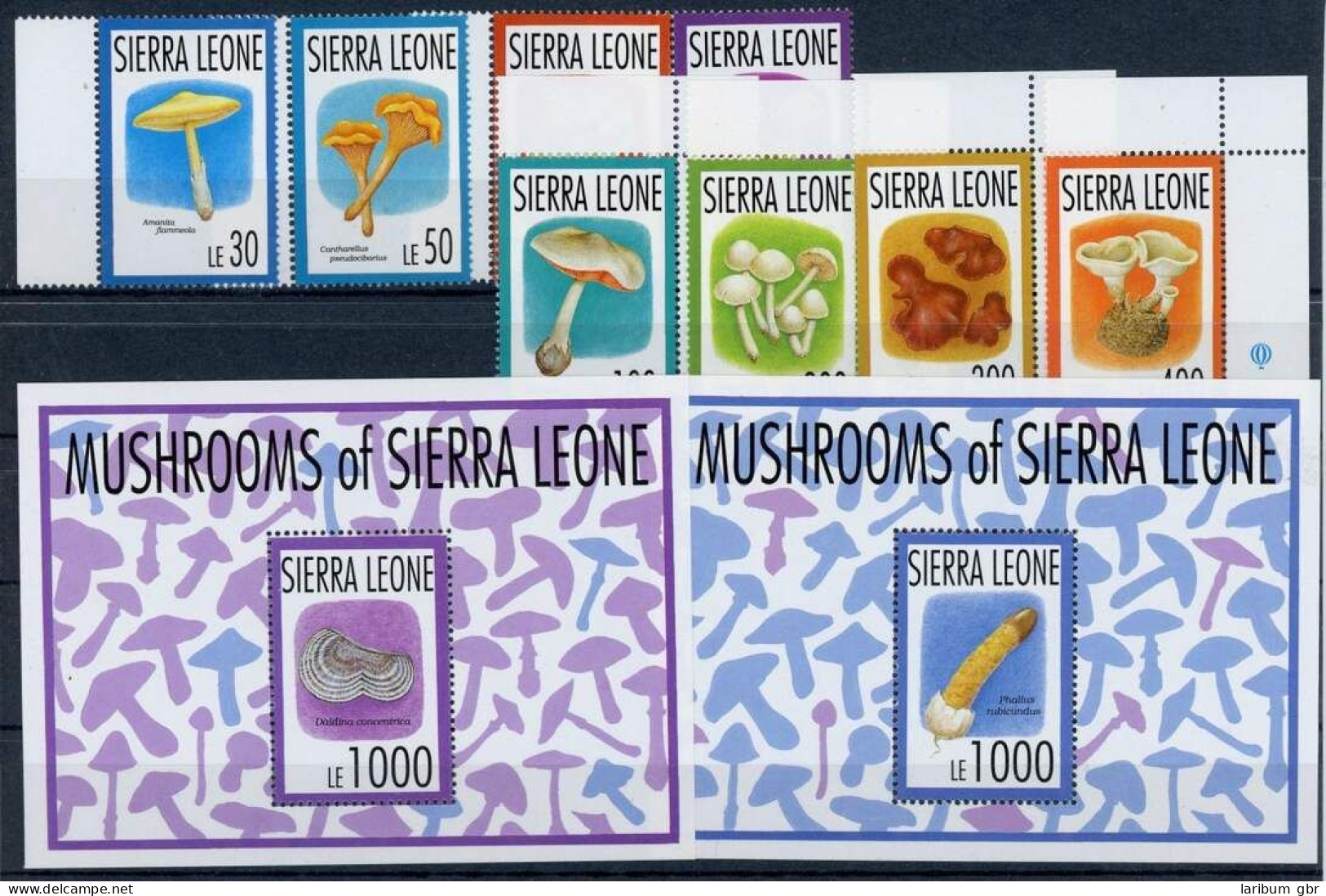 Sierra Leone 1999-2006 + Bl. 220-221 Postfrisch Pilze #HF483 - Sierra Leone (1961-...)