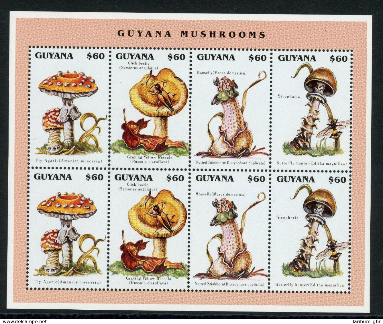 Guyana KB Mit 5538-5541 Postfrisch Pilze #JR711 - Guyana (1966-...)