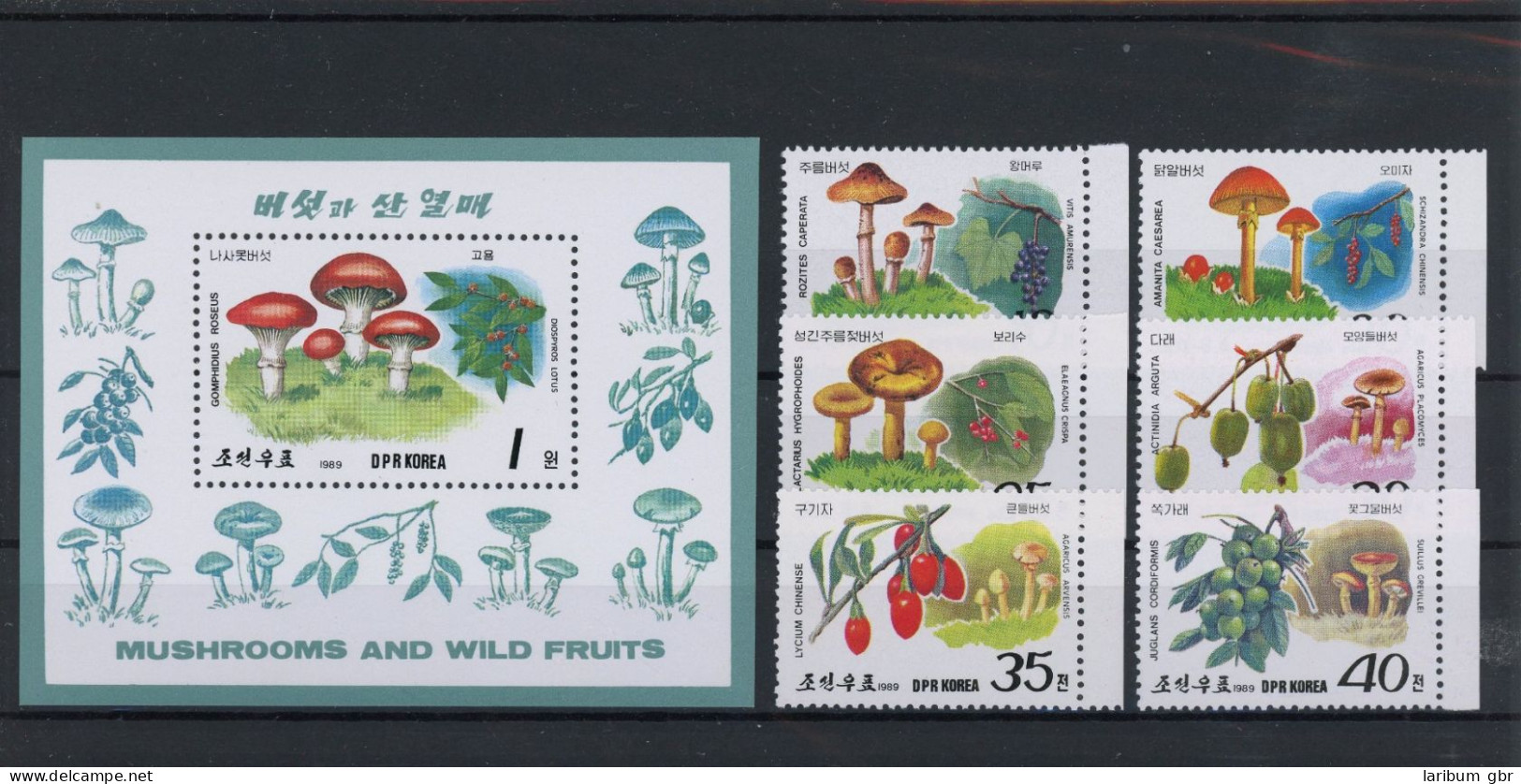 Nordkorea 2999-3004, Block 244 Postfrisch Pilze #JQ997 - Corée (...-1945)