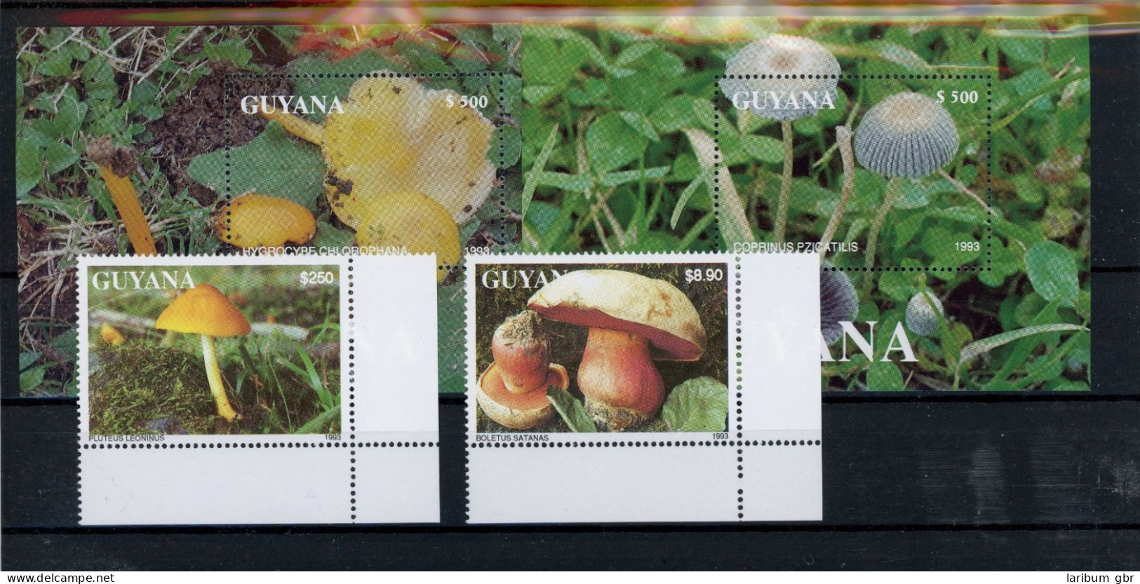 Guyana 4137, 40, Block 271-272 Postfrisch Pilze #JO617 - Guyane (1966-...)