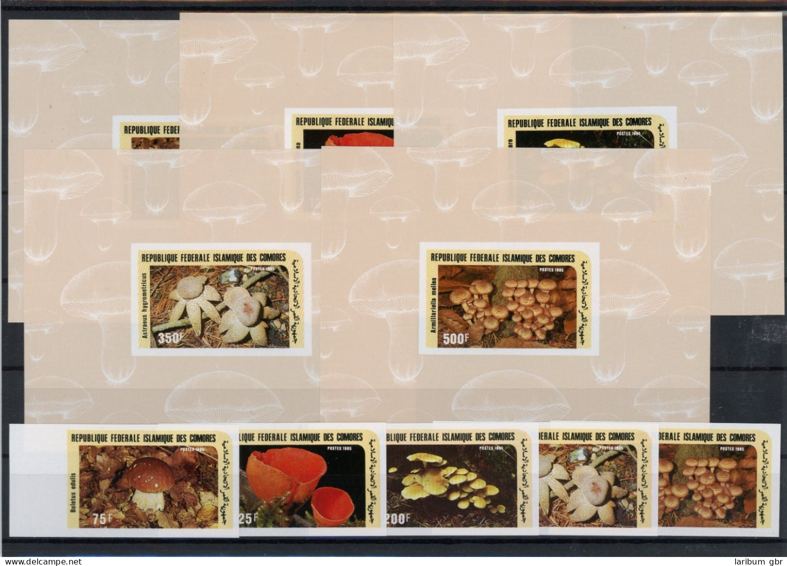 Komoren Einzelblöcke 762-766 B Postfrisch Pilze #JO630 - Komoren (1975-...)