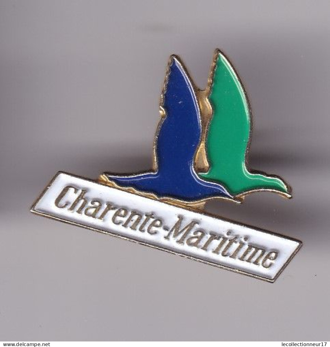 Pin's Mouettes De La Charente Maritime Dpt 17 Réf 8505 - Cities