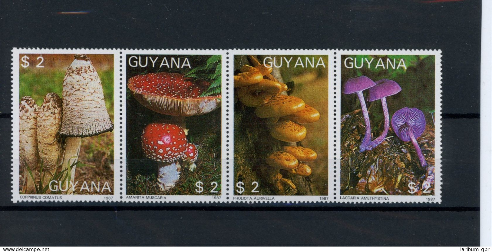 Guyana Viererstreifen 2080-2083 Postfrisch Pilze #JO724 - Guyana (1966-...)