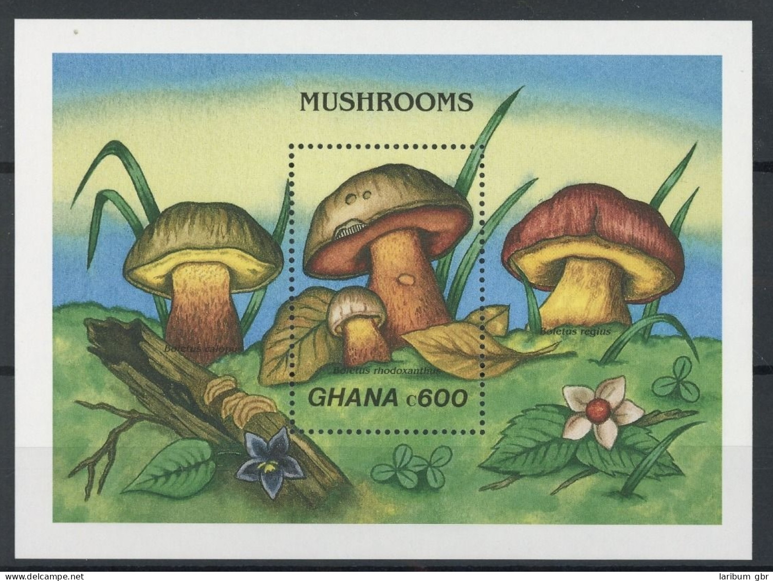 Ghana Block 145 Postfrisch Pilze #JO717 - Ghana (1957-...)