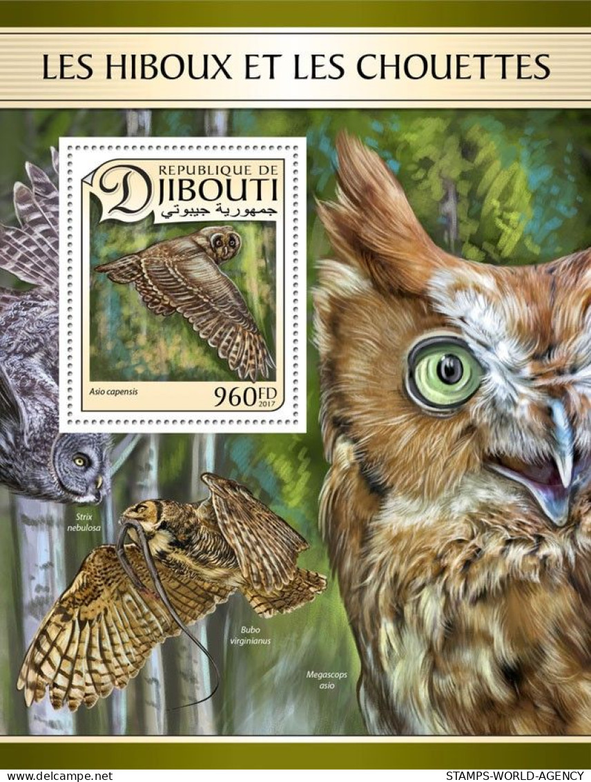 ( 250 26) - 2017- DJIBOUTI - OWLS                1V  MNH** - Owls