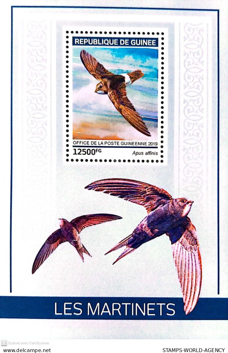 ( 250 27) - 2019- GUINEA - SWALLOWS                1V  MNH** - Swallows