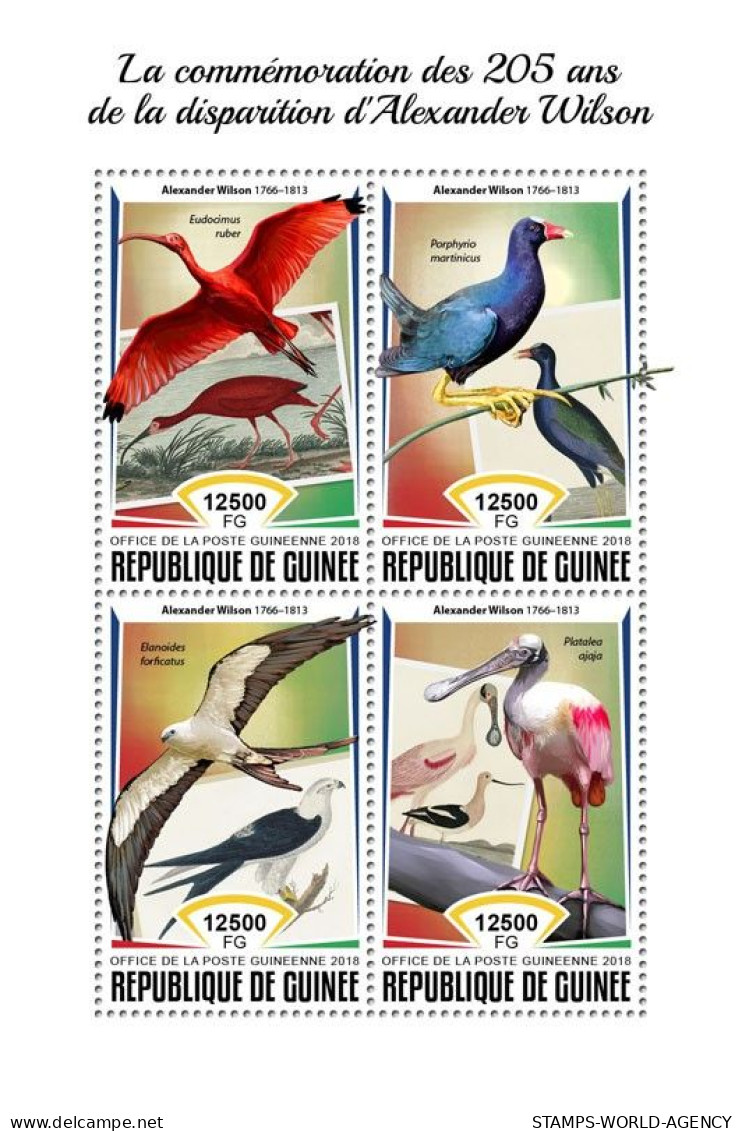 ( 250 29) - 2018- GUINEA - WATER BIRDS                4V  MNH** - Sonstige & Ohne Zuordnung