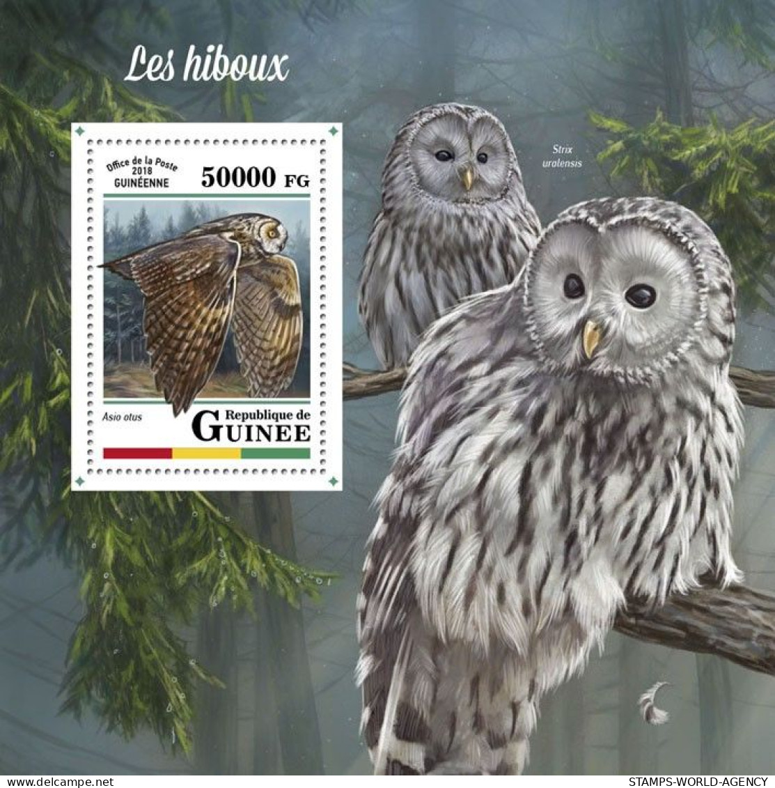 ( 250 30) - 2018- GUINEA - OWLS                1V  MNH** - Eulenvögel